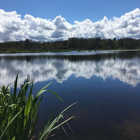 Deluxe אוסטרוני מורסקי