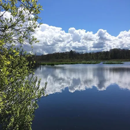 Deluxe אוסטרוני מורסקי